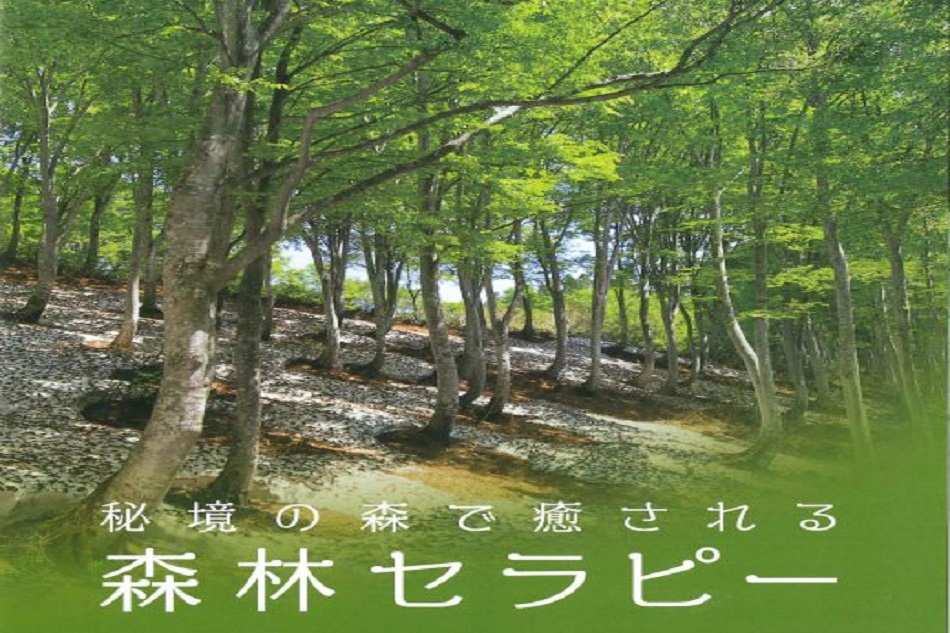 豊かな自然 散策の里 七沢♨