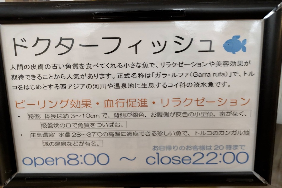 GW後半・・・ワクワクしますね。そうだ七沢温泉に行こう(^^)/