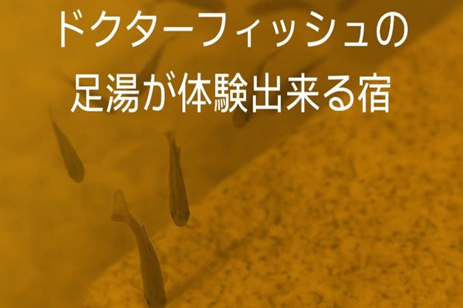 5/24（土）週末　天気予報　雨予報でも多くの方が来てくれました（感謝）