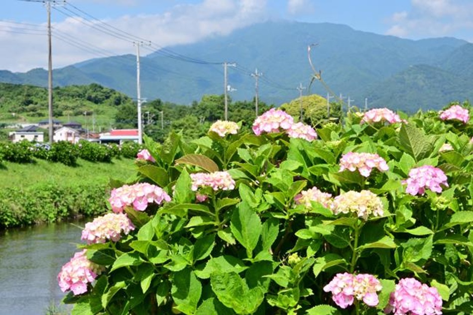 【新緑と温泉】6月こそ七沢温泉へ！静寂の中で癒やされる七沢温泉の旅館で至福のひととき