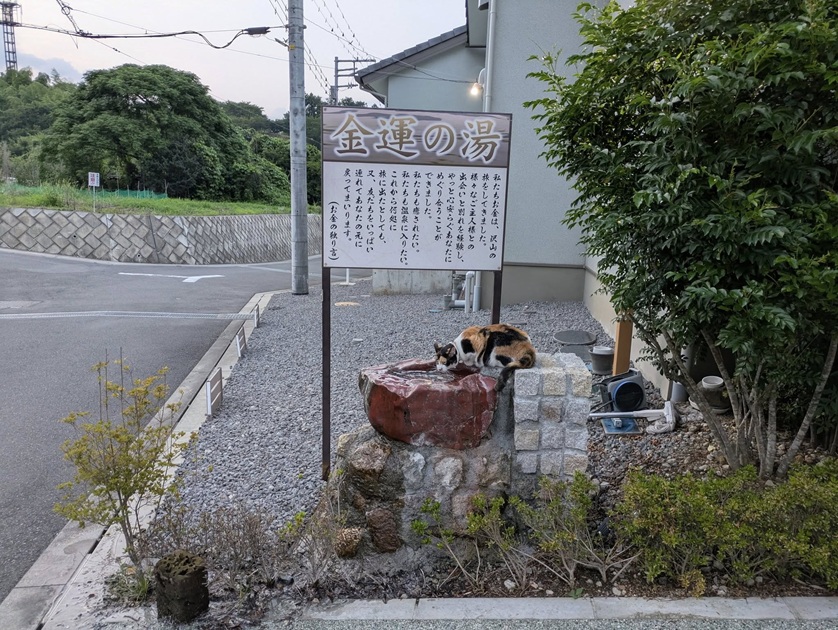 本館と旧館がある・・・