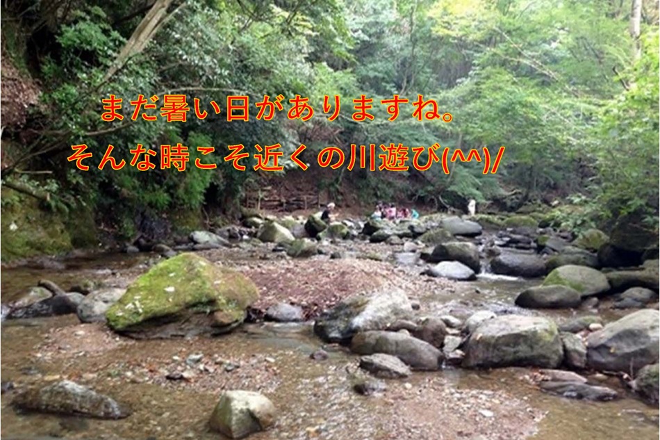 近隣情報(^^)/　七沢温泉から近い場所で1日満喫旅(^^)/