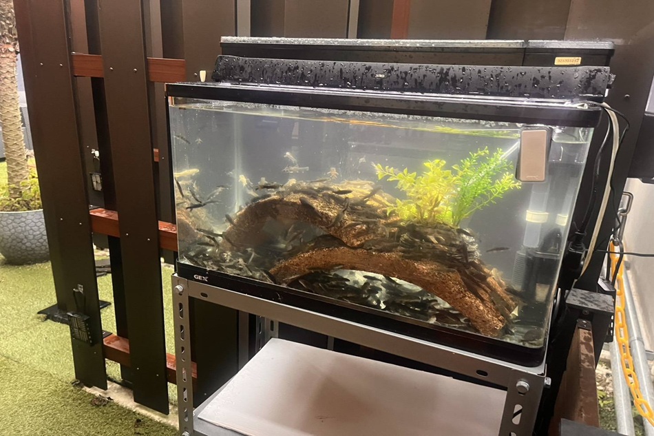 足湯は１１月から土日祝のみ「温かい足湯シリーズ」♨