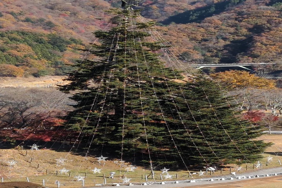 クリスマスツリーといえば・・・大きなツリー🌲そして温泉へGO～