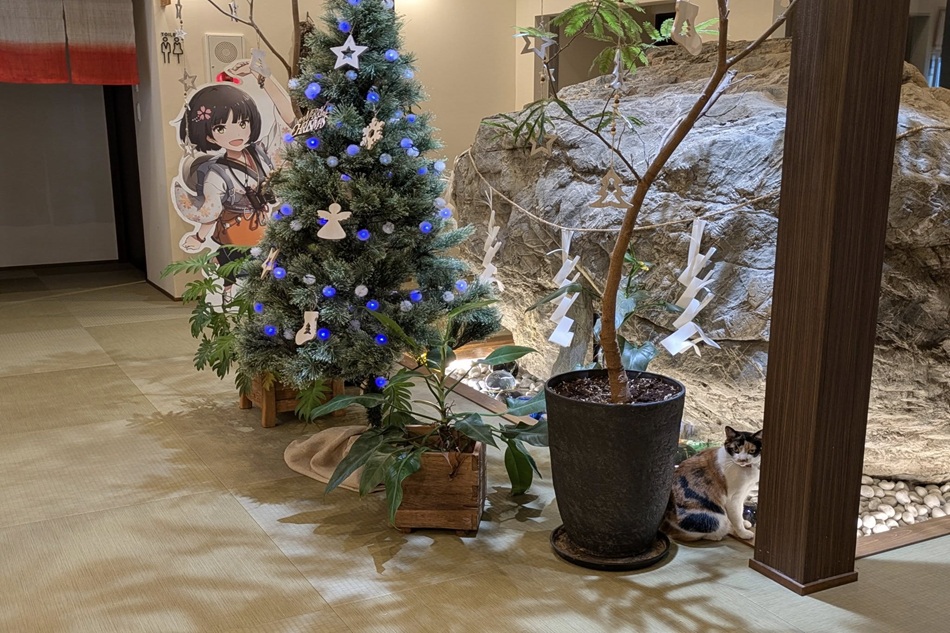 今しか撮れない、七沢荘のクリスマス🎄