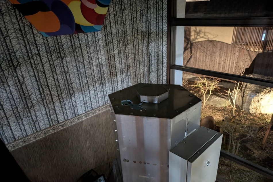 寒い日が続きますが・・・桜につぼみが少しずつふくらんでる(*^^)v