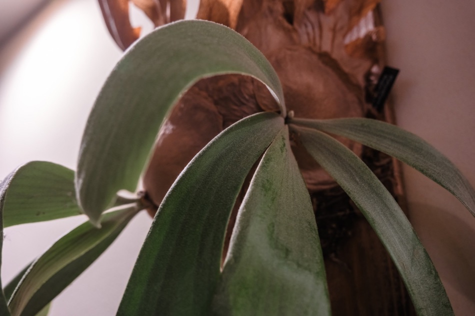 インスタグラムの話