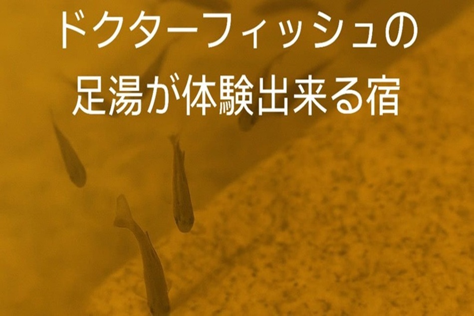 厚木市のマスコットキャラクターは？？？あゆコロちゃん