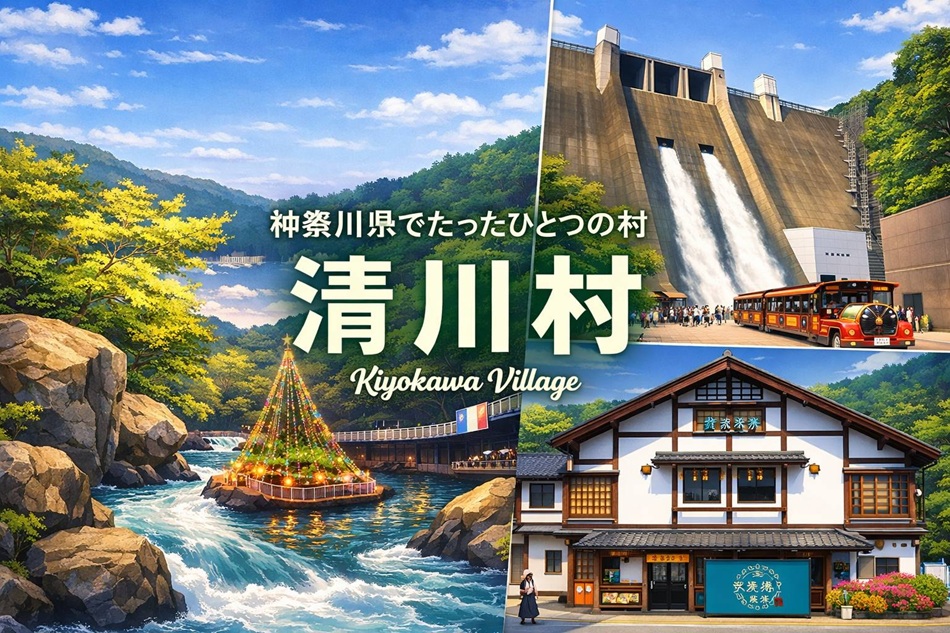 ドクターフィッシュの足湯体験した？　強アルカリ温泉に入ったことある？？　本当にびっくり(*^^)v