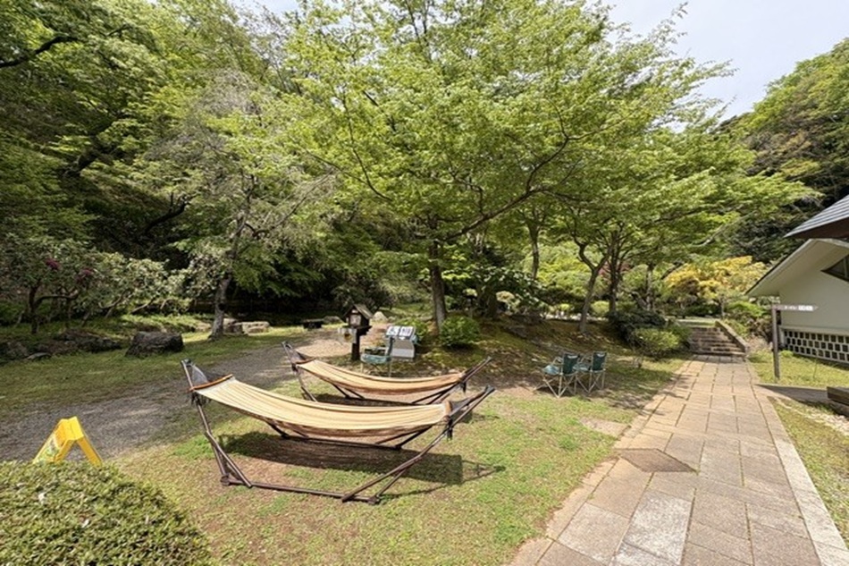 みっきー散歩⑤　シリーズvol.2「行こうぜ！神奈川県立“七沢森林公園”」　心も身体も癒す、七沢のウォーキングパラダイス！