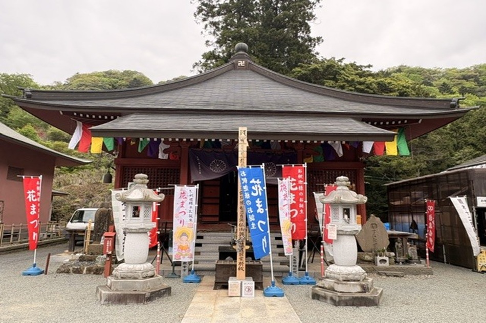 みっきー散歩②「観音さまに会いに行こう」七沢荘から七沢観音寺へぶらり徒歩の旅